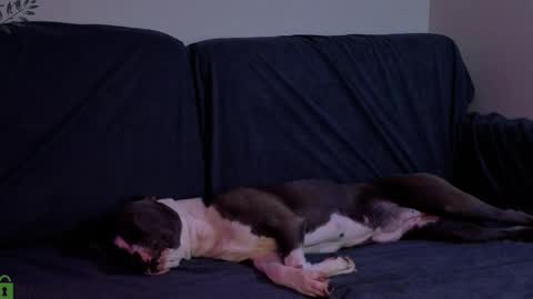 Eva online show from October 15, 4:53 pm