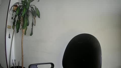 evacollins12 online show from March 5, 9:39 pm