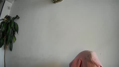 evacollins12 online show from February 15, 7:50 pm