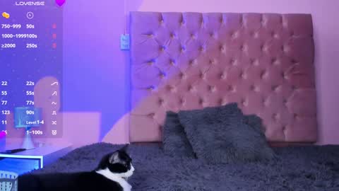 Snapshot of evaolimpo chatting on January 8, 8:50 pm Eva Olimpo online show from January 8, 8:50 pm