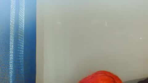 Exoticlexxii online show from October 2, 3:28 pm