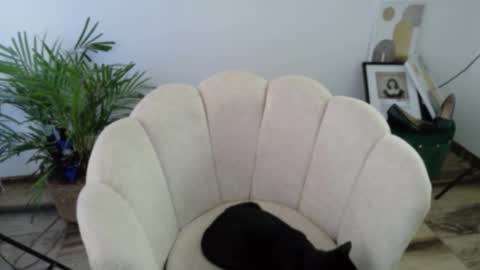 Snapshot of feelina_firesoul chatting on October 15, 7:49 pm Feelena online show from October 15, 7:49 pm