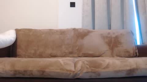 FelineChic online show from January 10, 4:44 am