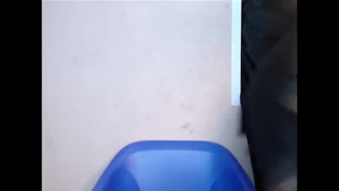 flirtxxdiva online show from October 26, 10:00 am