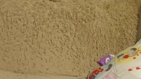 Snapshot of flowercandydoll13 chatting on December 26, 1:07 am say meow and send tip online show from December 26, 1:07 am