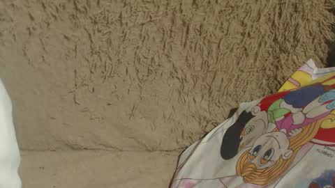 Snapshot of flowercandydoll13 chatting on February 14, 2:54 pm say meow and send tip online show from February 14, 2:54 pm