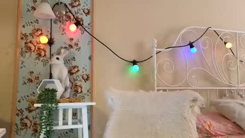 Franky online show from February 18, 2:49 am