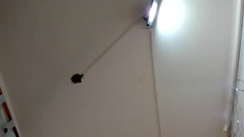 Snapshot of frezzita_ chatting on October 16, 8:22 pm Frezzita online show from October 16, 8:22 pm