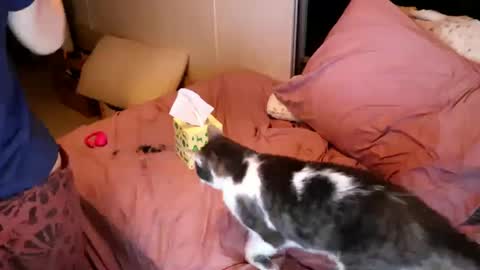 Snapshot of fuckmypussyplz1 chatting on October 8, 9:46 am fuckmypussyplz1 online show from October 8, 9:46 am