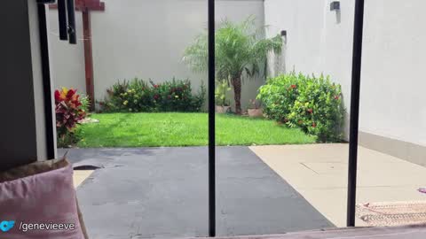 Genn online show from January 28, 5:35 pm