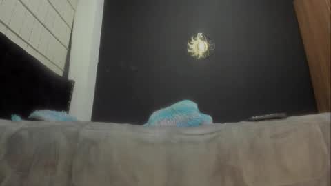 Snapshot of ginger_amarett chatting on March 7, 6:54 pm Miss online show from March 7, 6:54 pm