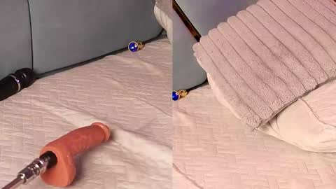 giorgia online show from November 26, 8:04 am