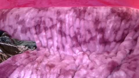 Snapshot of goddess_aaliyah chatting on January 4, 4:11 pm goddess_aaliyah online show from January 4, 4:11 pm