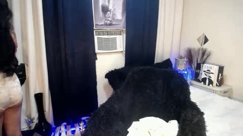 Snapshot of gorgeous_rica chatting on October 14, 5:26 pm Rica online show from October 14, 5:26 pm