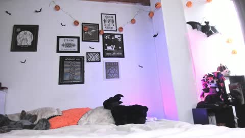 Snapshot of gothic_do11 chatting on January 5, 6:35 pm hi my name is Elizabeth nice to meet you online show from January 5, 6:35 pm