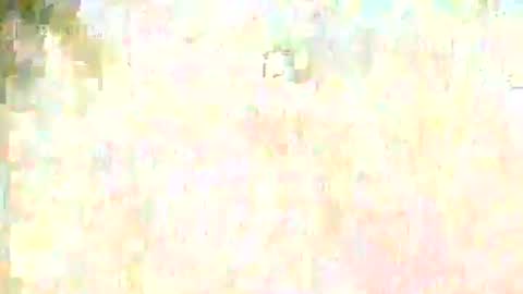 griseldax online show from October 23, 5:35 am