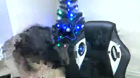GusumAh online show from January 3, 10:19 pm