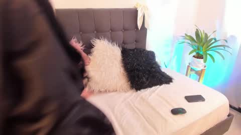 Snapshot of gypsie_velvett chatting on February 26, 7:08 pm Samy Velvet dayatorres 23 Followme online show from February 26, 7:08 pm