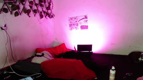 reashell online show from October 29, 10:45 pm