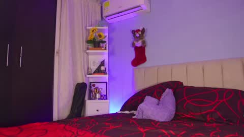 Snapshot of hanna_chris chatting on December 27, 10:48 pm HANNA online show from December 27, 10:48 pm