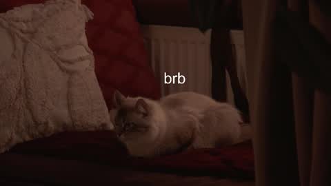 Hanna online show from February 3, 6:40 am