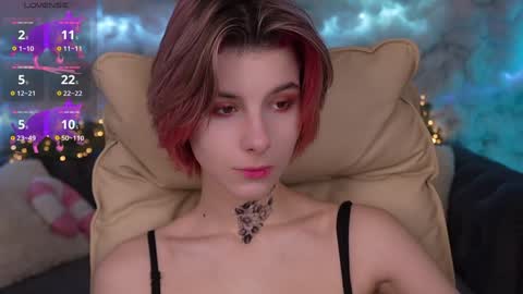 haylaamber online show from December 18, 7:04 am