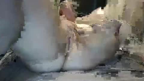 hazelbasil32728 online show from October 8, 1:48 pm