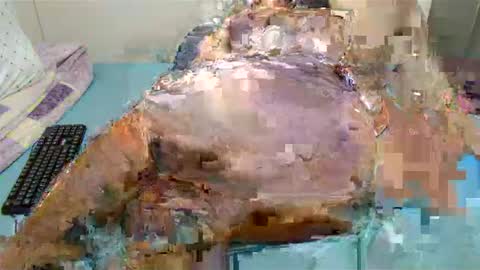 hips2sexy online show from December 21, 8:10 pm