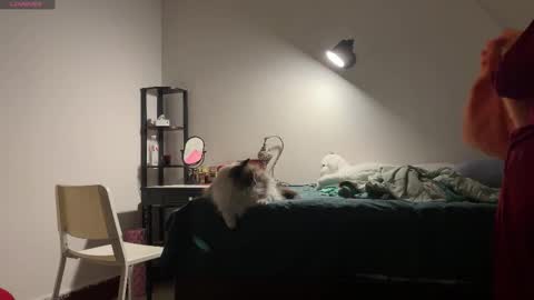 Snapshot of hola_sunflower chatting on October 19, 2:52 pm amy online show from October 19, 2:52 pm