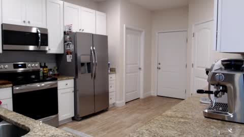 Holi Hurricane online show from January 9, 3:55 am