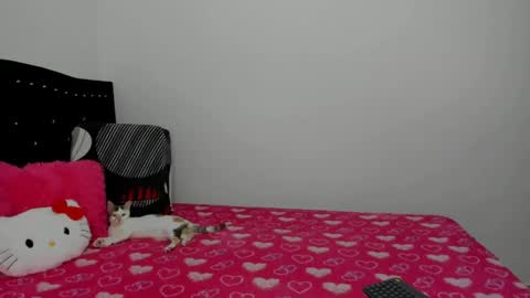 holly... online show from September 12, 6:46 am