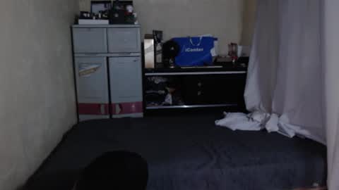 yoshi online show from February 5, 7:55 am