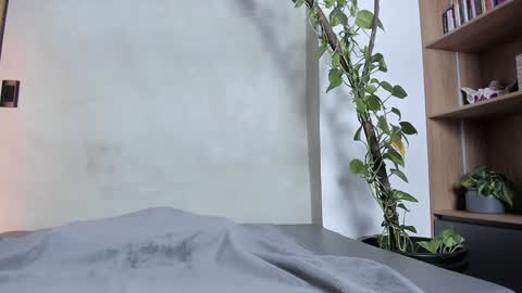 Sofia independent model online show from December 24, 11:17 am