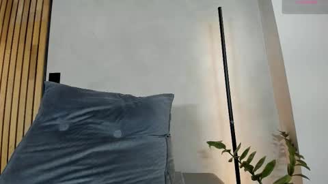 Sofia independent model online show from December 15, 11:48 am