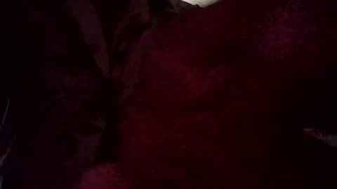 hoodoou online show from December 20, 4:49 am