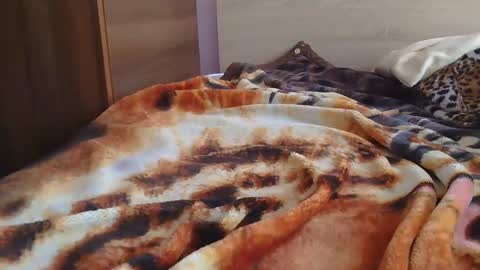 Serena online show from February 12, 7:02 am