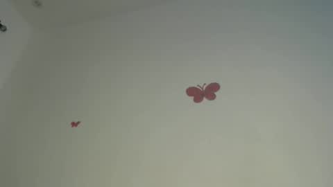 Iris online show from April 6, 7:48 pm