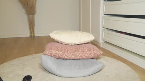 Bella online show from January 16, 10:17 pm