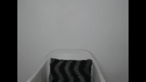 hotjessie0 online show from January 9, 4:30 am