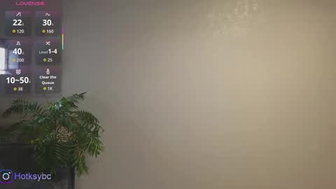 HotKsy online show from October 10, 9:09 pm