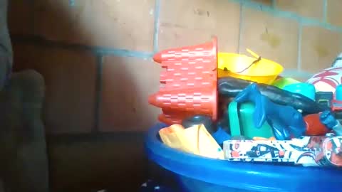 hotty_nath online show from September 11, 9:15 pm