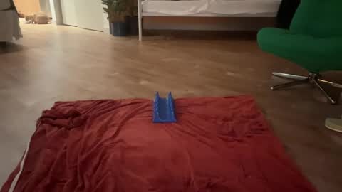 Olive online show from October 19, 5:42 am