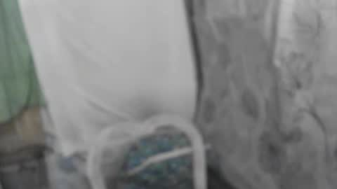 iana online show from September 20, 1:09 pm