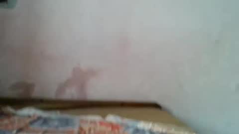 ROSE online show from December 15, 3:56 am