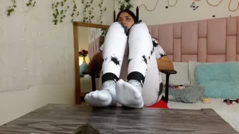 I S A online show from March 20, 2:00 pm