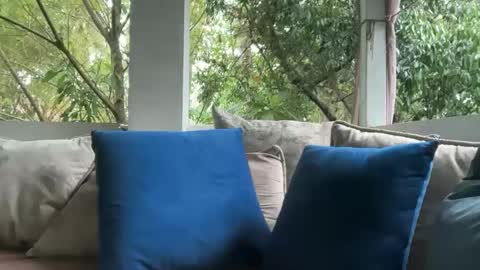 ivysagex online show from September 27, 9:16 am