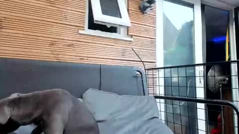 jadealexas online show from July 31, 7:04 pm