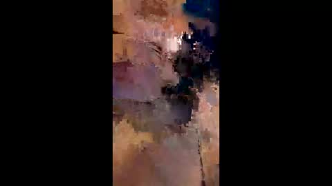 Jane Monay online show from May 5, 10:29 am
