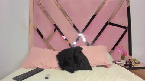 jeimyht online show from December 6, 3:22 pm