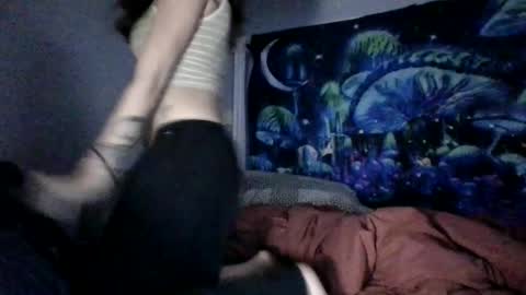 Starbird online show from December 20, 4:16 am